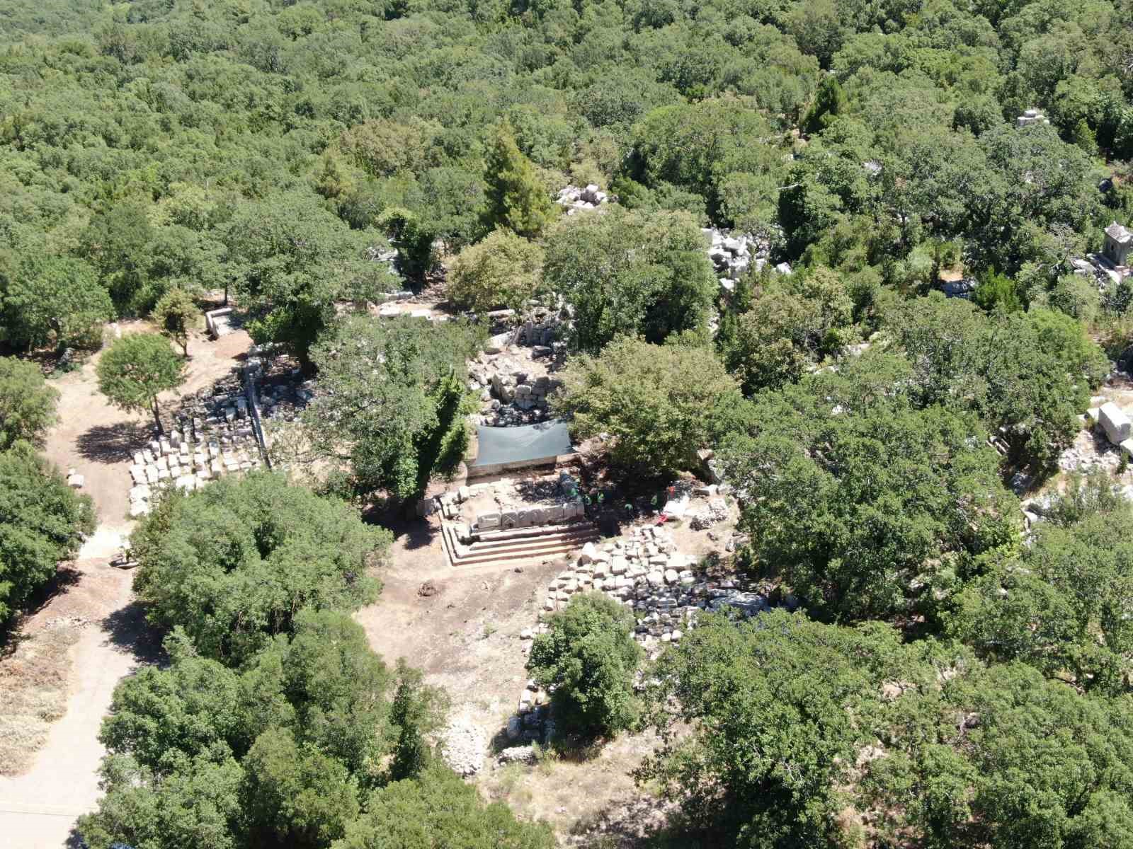 Meşe ağacı lahit parçasını havaya kaldırdı: Termessos’ta doğa tarihe sahip çıktı
