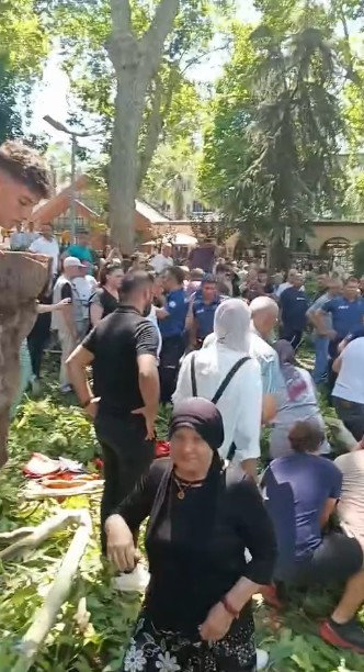 Korkunç olay: Çınar ağacının kopan dalı vatandaşların üzerine düştü
