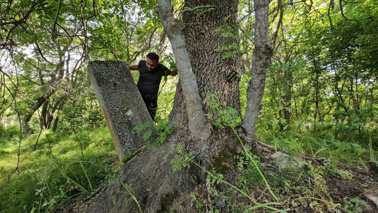 Asırlık mezarlar ağaçların arasında kayboldu