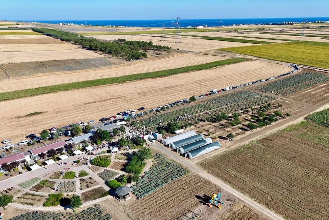 İstanbul’da Lavanta Hasat Şenliği