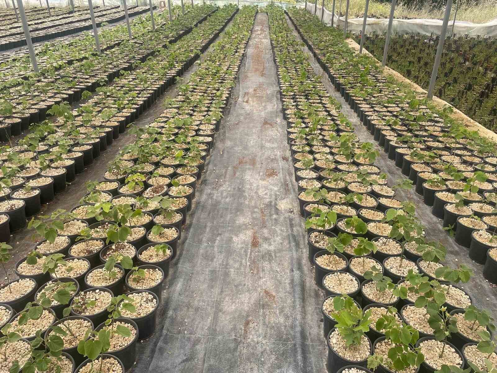 Türkiye’de yapılmayanı Uludağ eteklerinde deniyorlar dünyaya açılmayı hedefliyorlar