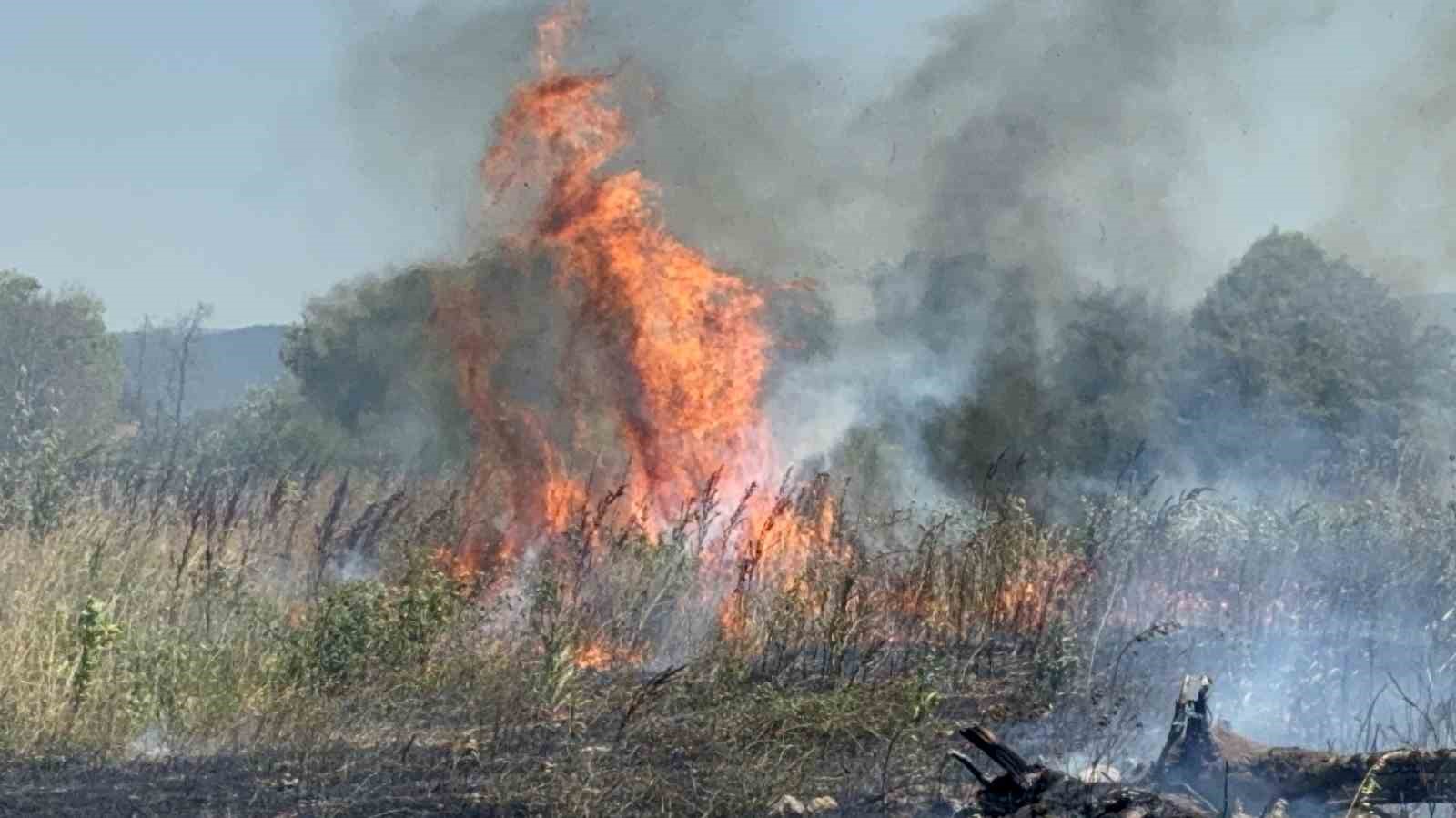 Beton mikserleri ve iş makineleri ile yangını söndürmek için seferber oldular