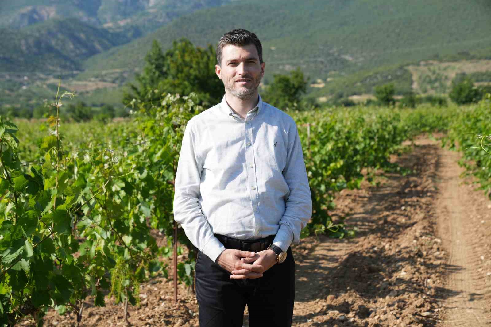 Don geciktirdi ama üretim düşmedi, yaprakta hedef 2 milyar liralık gelir