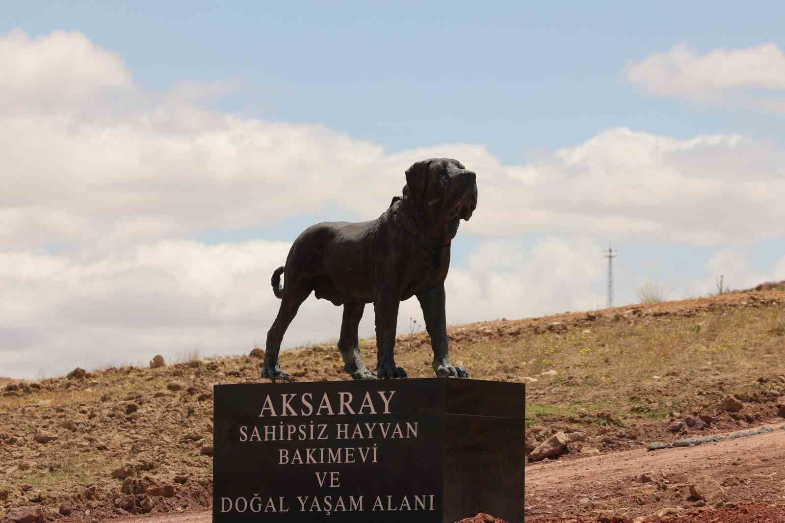Aksaray’da sahipsiz hayvanlar yeni yuvalarına kavuştu
