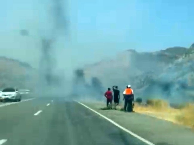 Siirt’te ağaçlık alanda yangın çıktı
