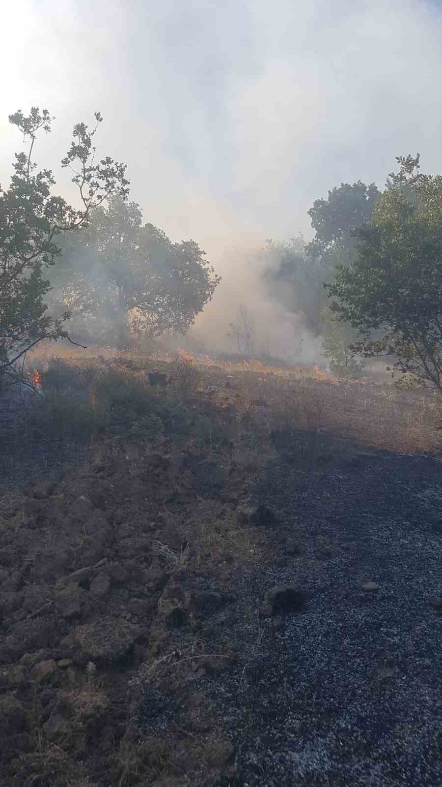 Zonguldak’ta ormanlık alanda çıkan yangına ekipler müdahale etti