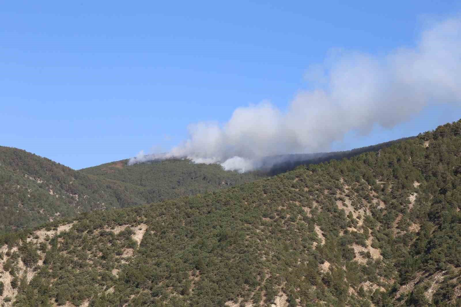 Kastamonu’da orman yangını: Alevlere havadan ve karadan müdahale ediliyor