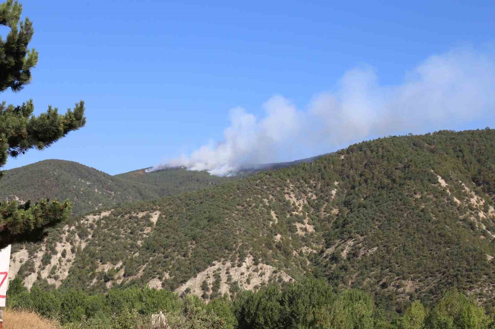 Kastamonu&rsquo;da orman yangını: Alevlere havadan ve karadan m&uuml;dahale ediliyor
