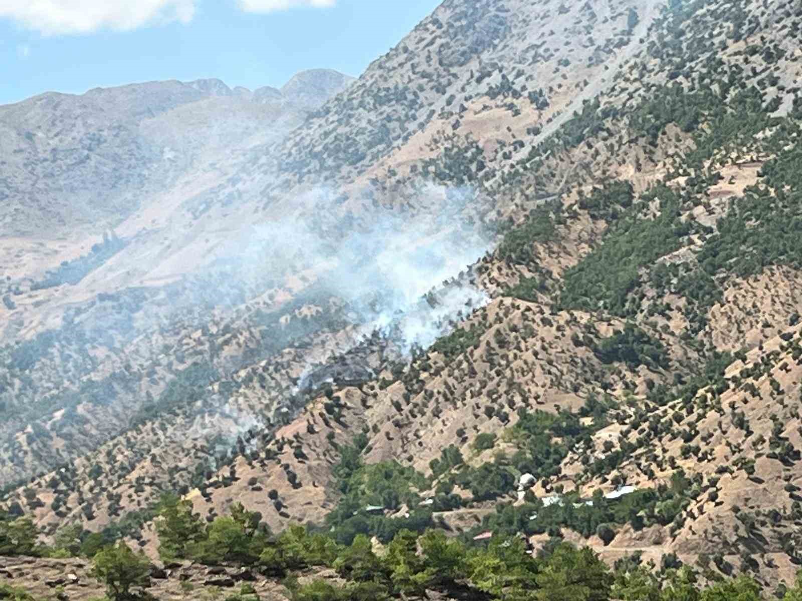 Bingöl’deki orman ve arazi yangınları söndürüldü
