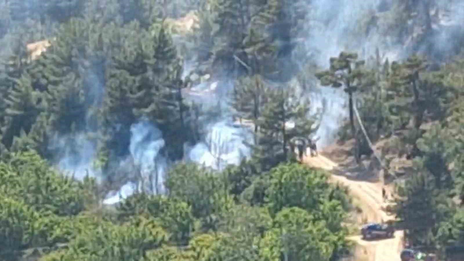 Mersin&rsquo;deki orman yangını kontrol altına alındı
