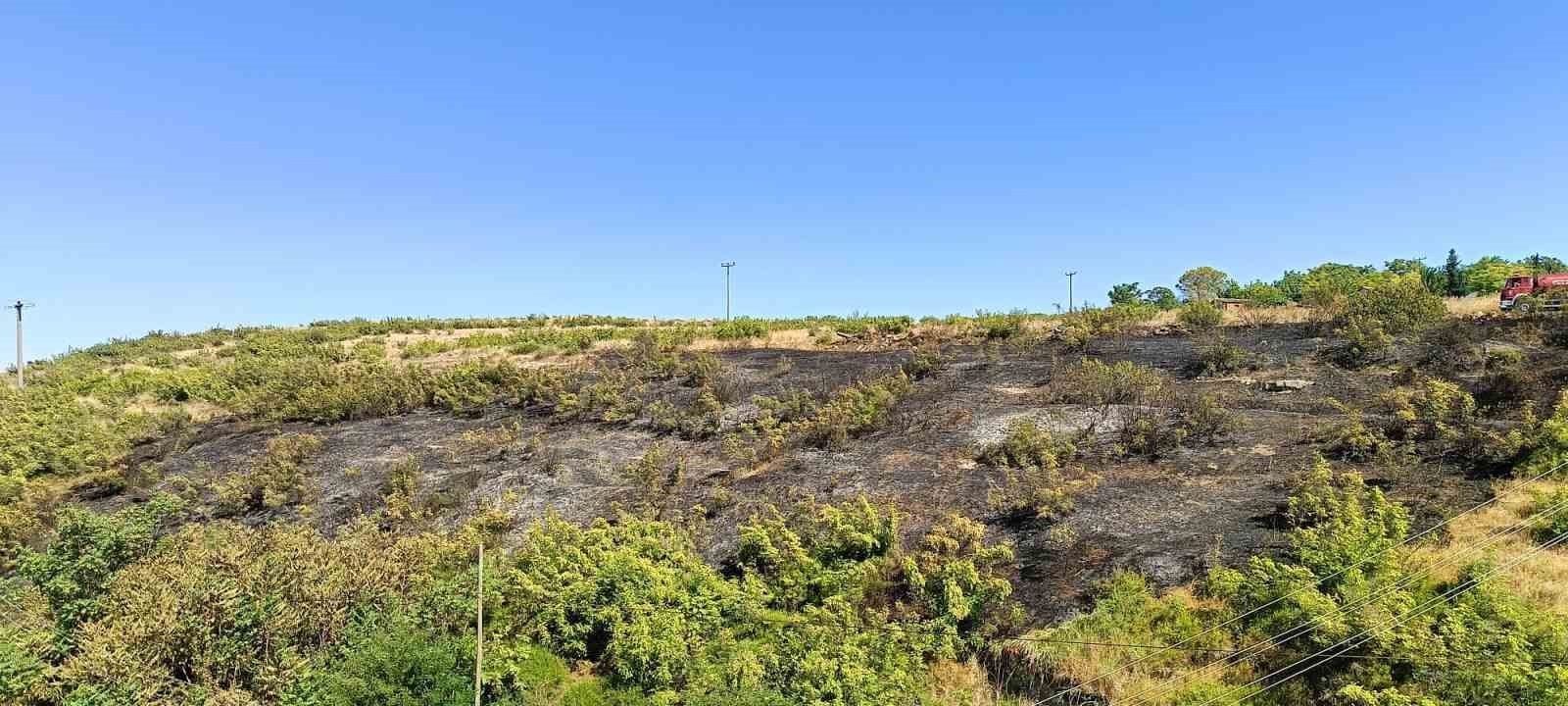 Susurluk&rsquo;ta &ccedil;alılık alanda &ccedil;ıkan yangın s&ouml;nd&uuml;r&uuml;ld&uuml;
