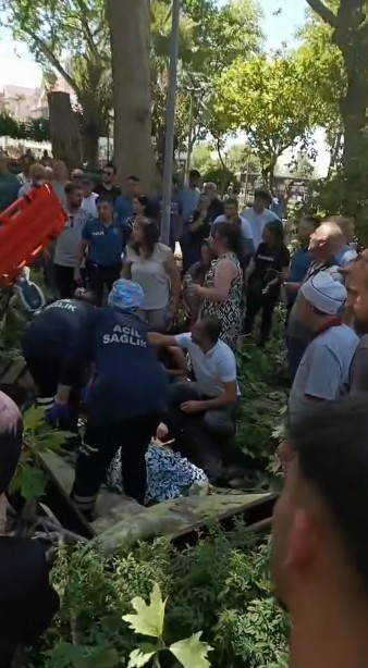 Çınar ağacının kırılan dalı üzerine düşen kişi hayatını kaybetti
