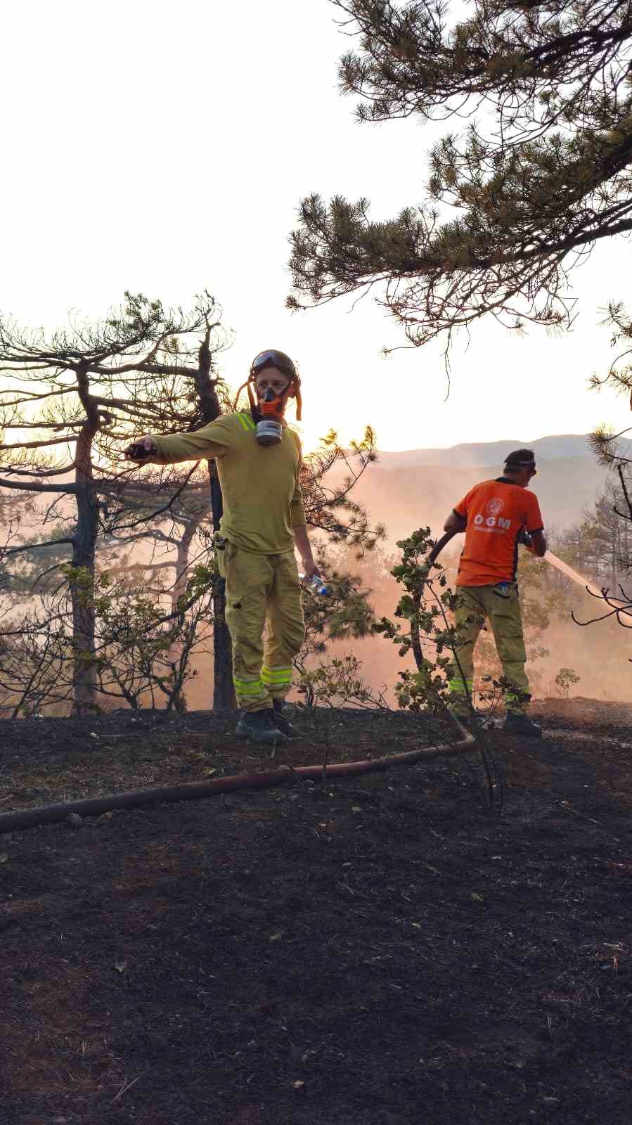 Bolu’daki orman yangınına havadan ve karadan müdahale sürüyor
