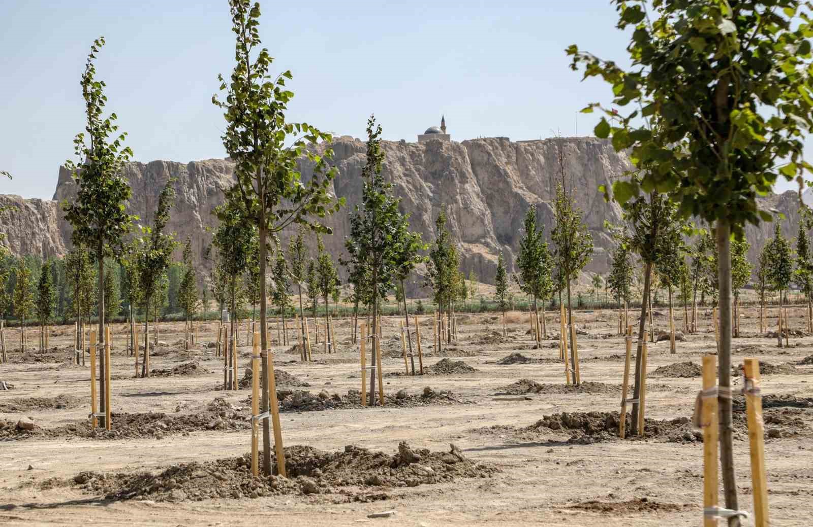 Van B&uuml;y&uuml;kşehir Belediyesi Ihlamur Parkı&rsquo;yla kente renk katacak
