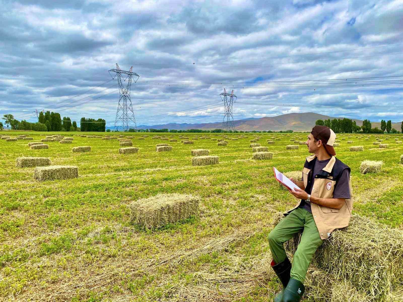 Bayburt’ta yem bitkileri ekim alanı tespit çalışmaları devam ediyor
