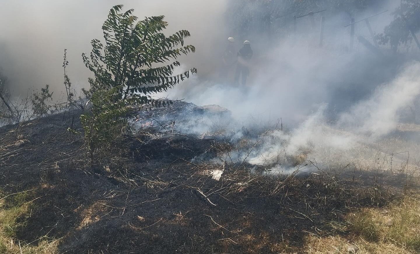 Gediz’de trafo yakınında ot yangını paniğe sebep oldu