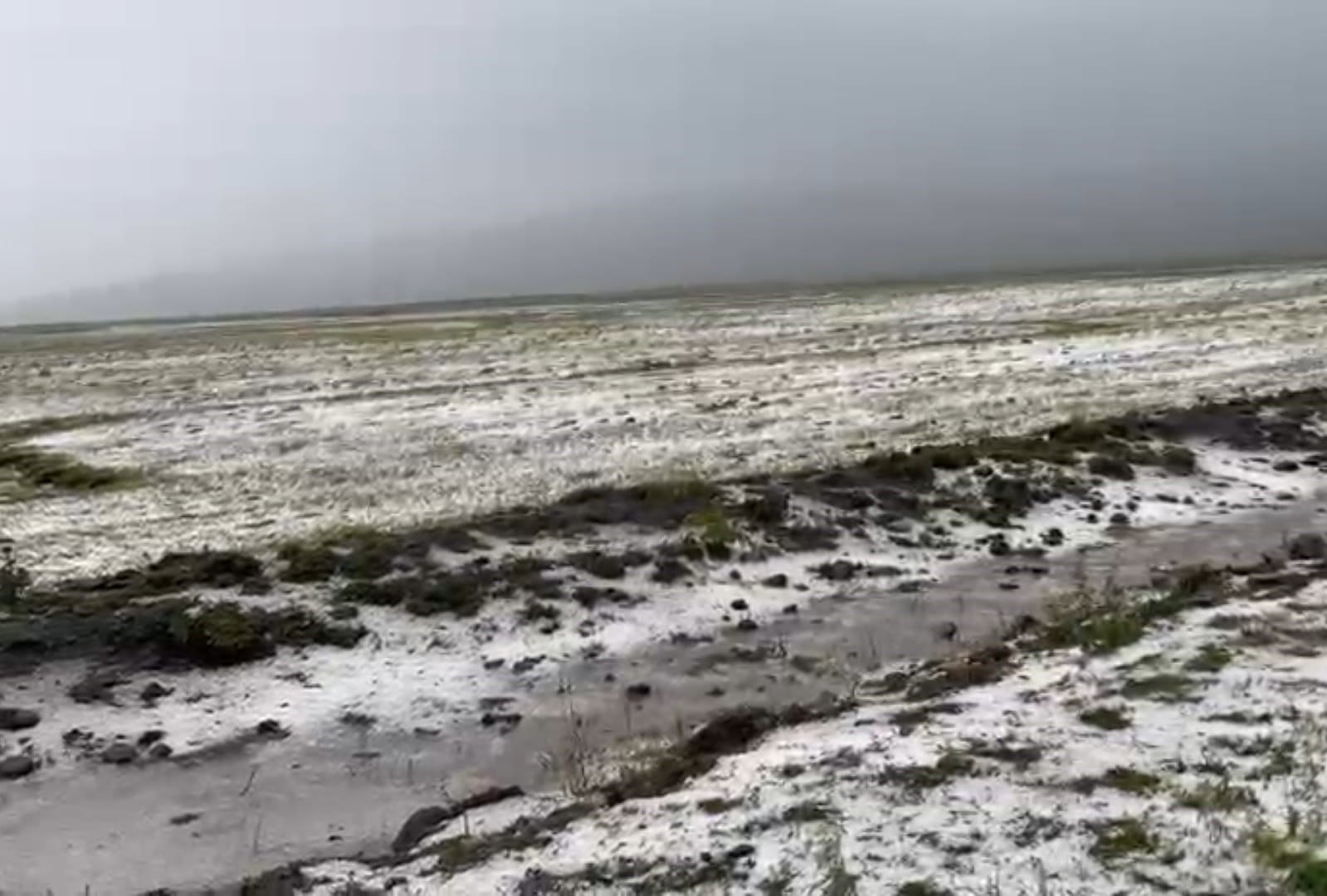 Ardahan beyaza büründü