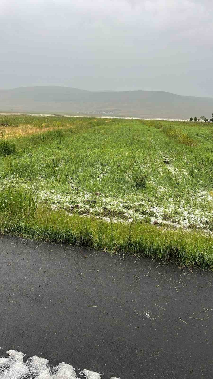 Ardahan beyaza büründü