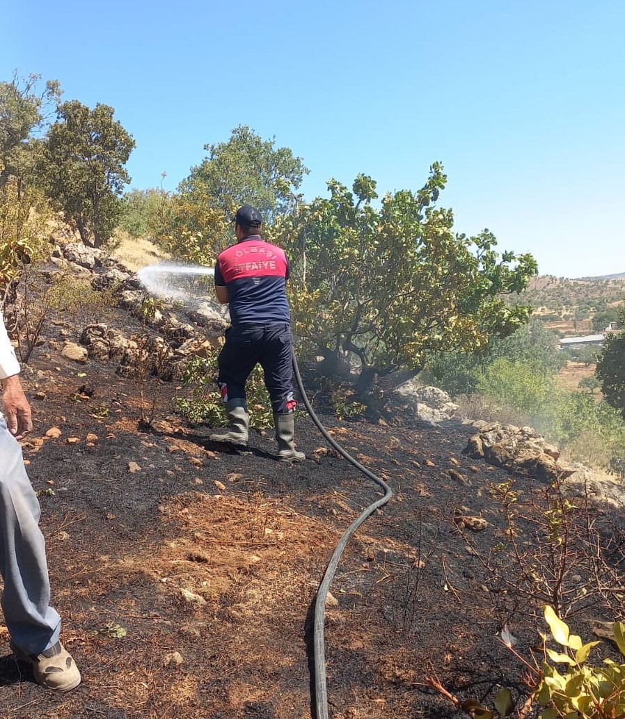 Gölbaşı’nda ormanlık alan yandı