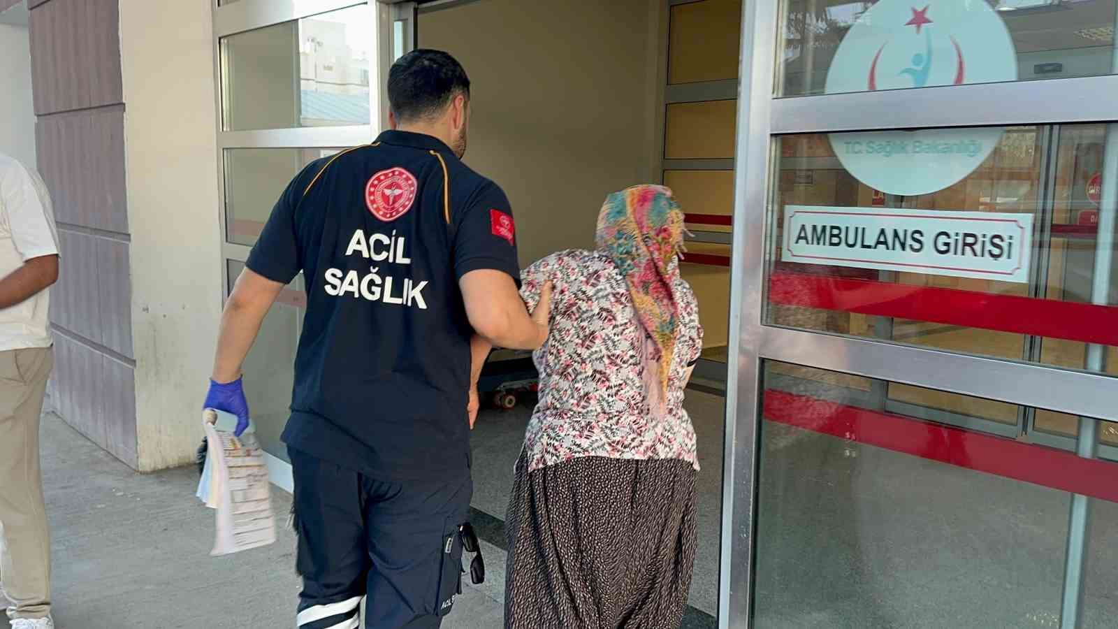 Yılanın ısırdığı kadın hastaneye kaldırıldı
