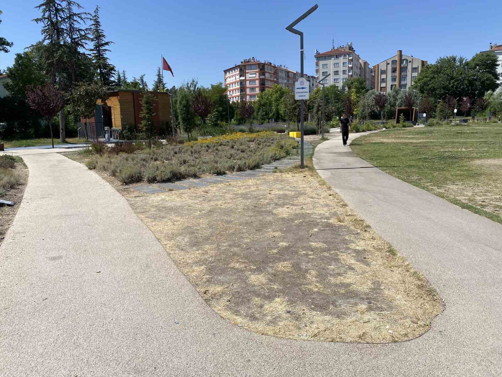 Eskişehir Recep Tayyip Erdoğan Millet Bahçesi bakımsız kaldı