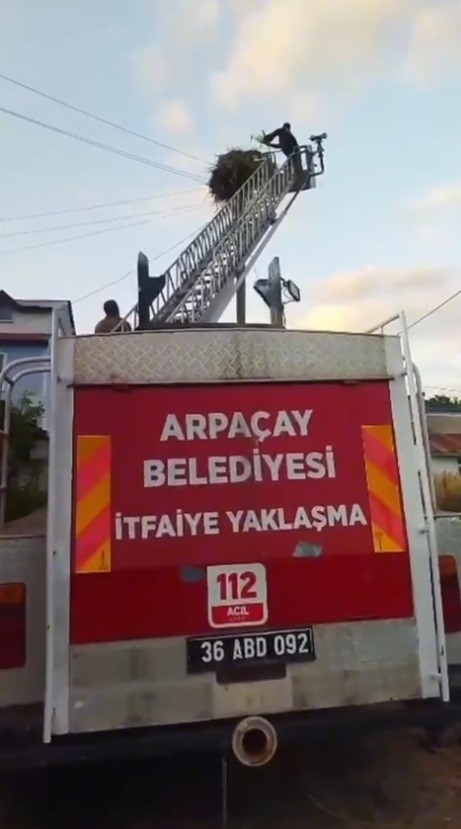 Kars&rsquo;ta yuvadan d&uuml;şen yavru leylek, yeniden yuvasına konuldu
