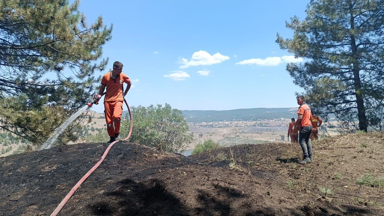 Tavşanlı&rsquo;da orman yangını erken m&uuml;dahaleyle s&ouml;nd&uuml;r&uuml;ld&uuml;

