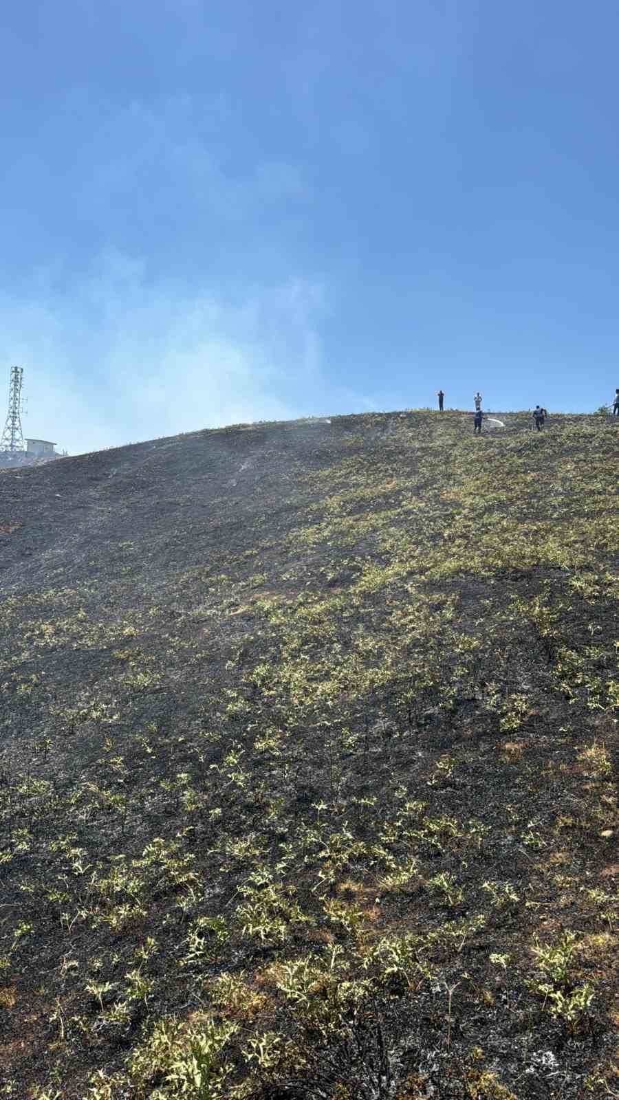Hizan&rsquo;da anız yangını, 40 d&ouml;n&uuml;m arazi zarar g&ouml;rd&uuml;
