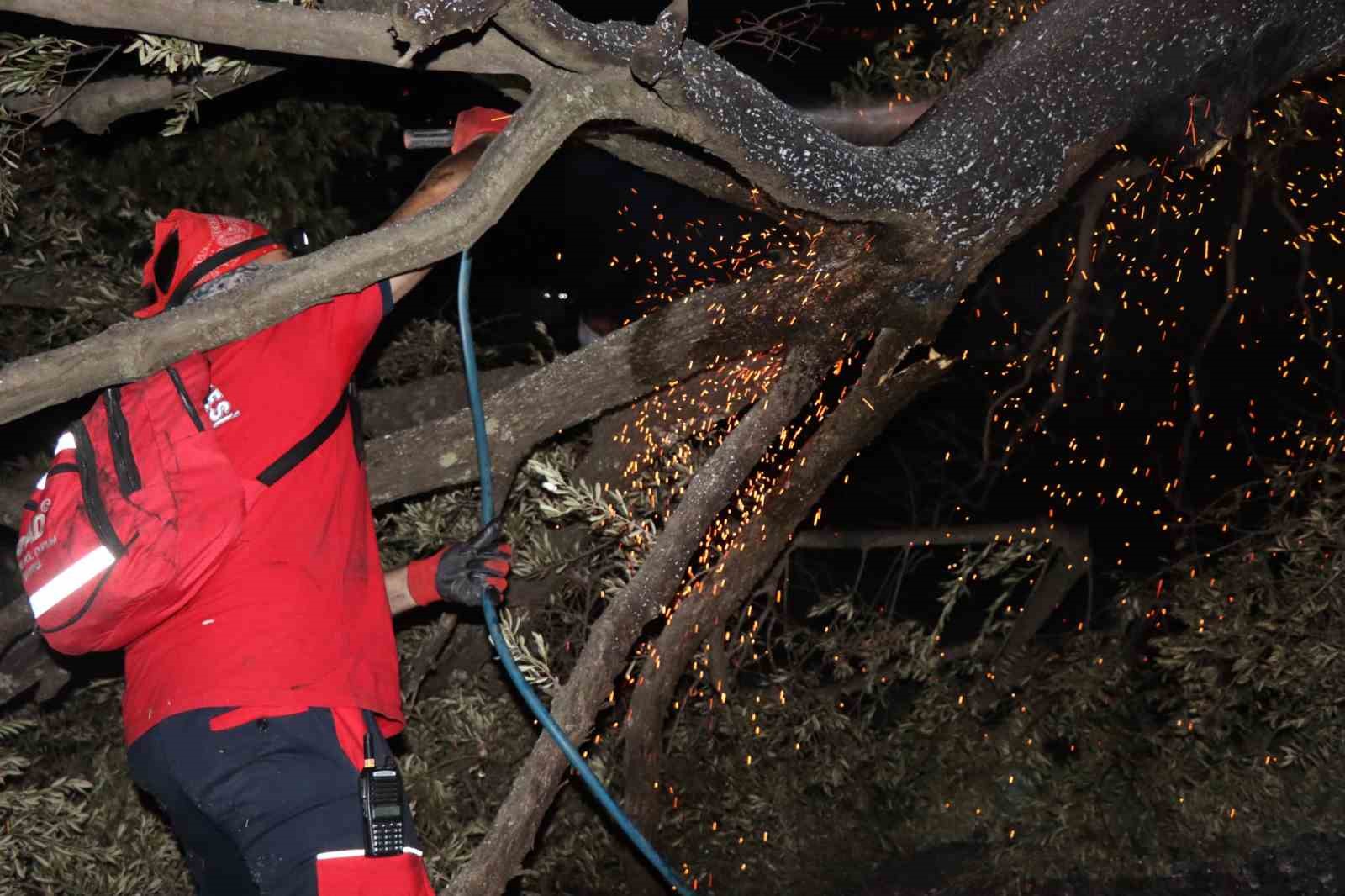 NAFAD bölgedeki yangınlarda aktif görev alıyor