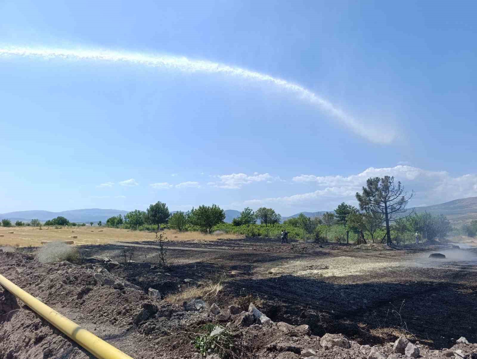 Ankara’da 40 dönüm ekili arazi yandı