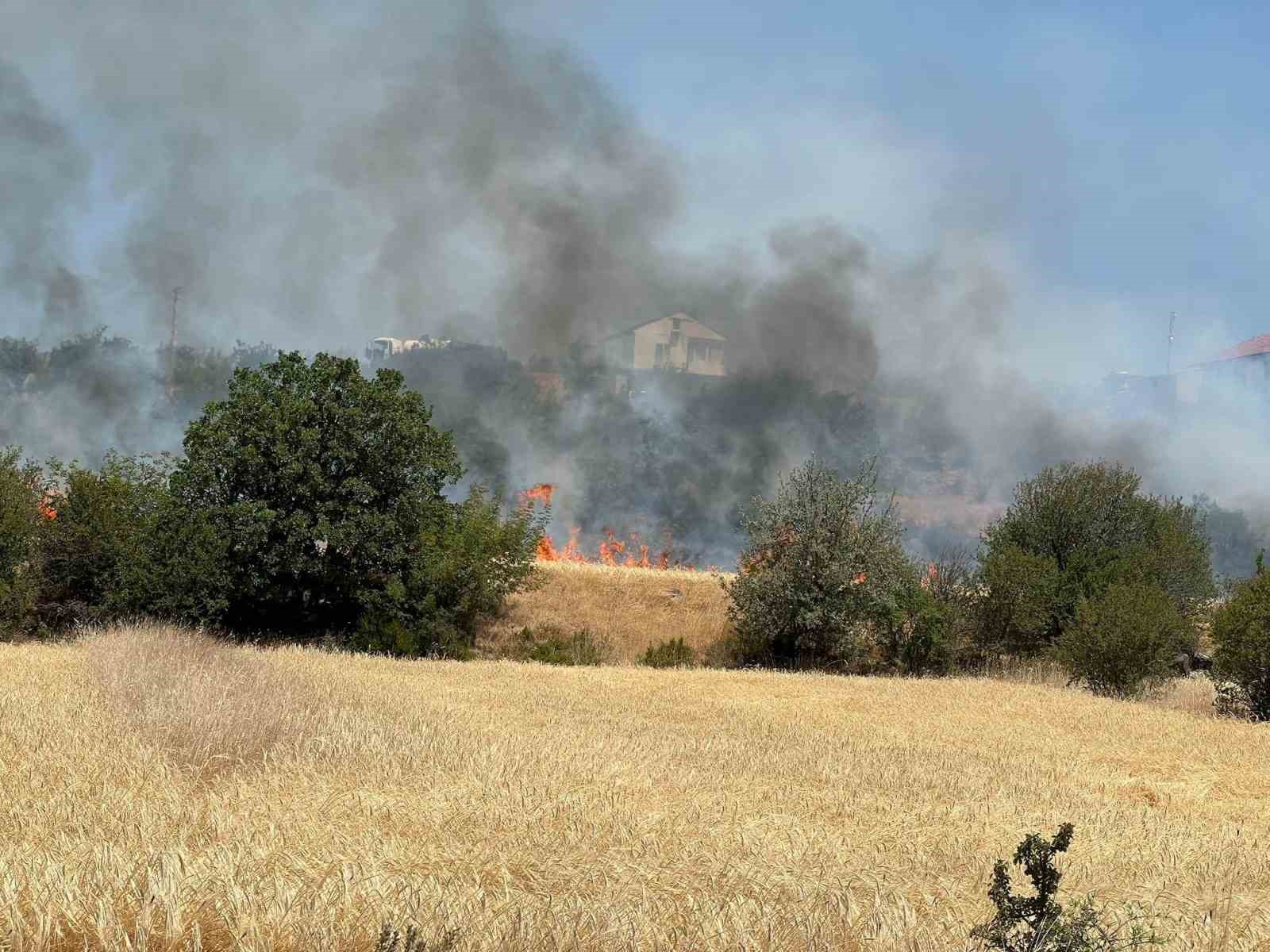 Ankara&rsquo;da 40 d&ouml;n&uuml;m ekili arazi yandı
