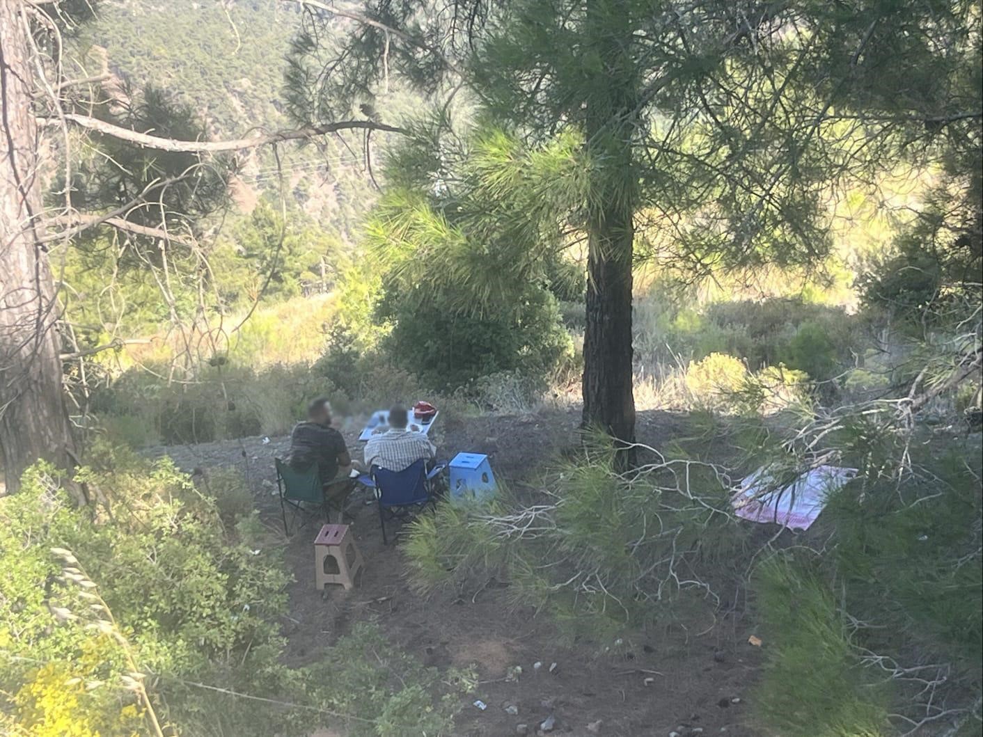 Ormanda piknik yapan 4 şahsa yasal işlem yapıldı