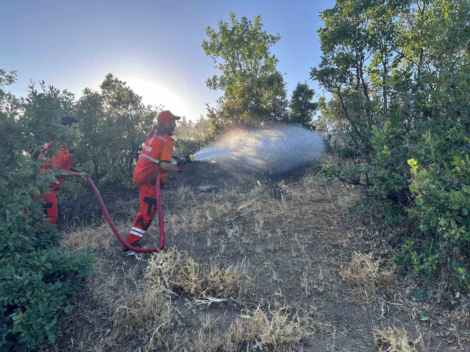 Bingöl’de orman yangını kontrol altına alındı