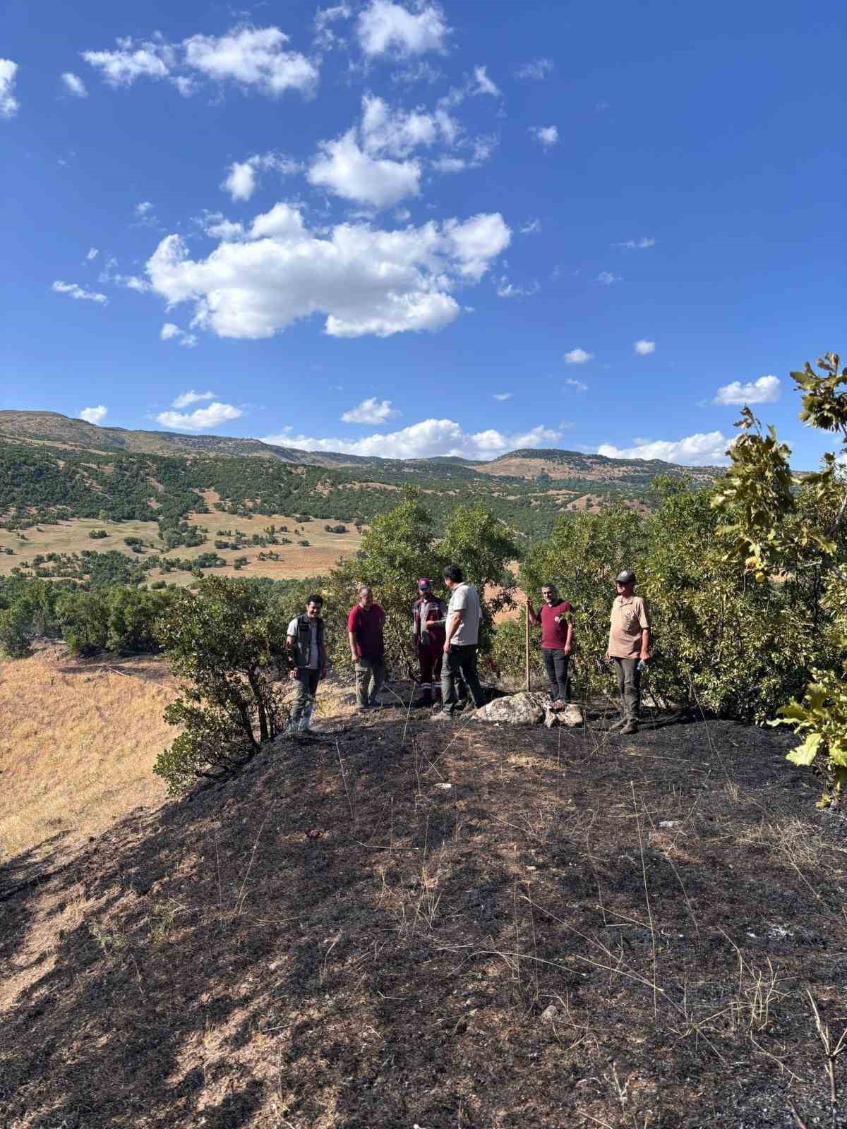 Bing&ouml;l&rsquo;de orman yangını kontrol altına alındı
