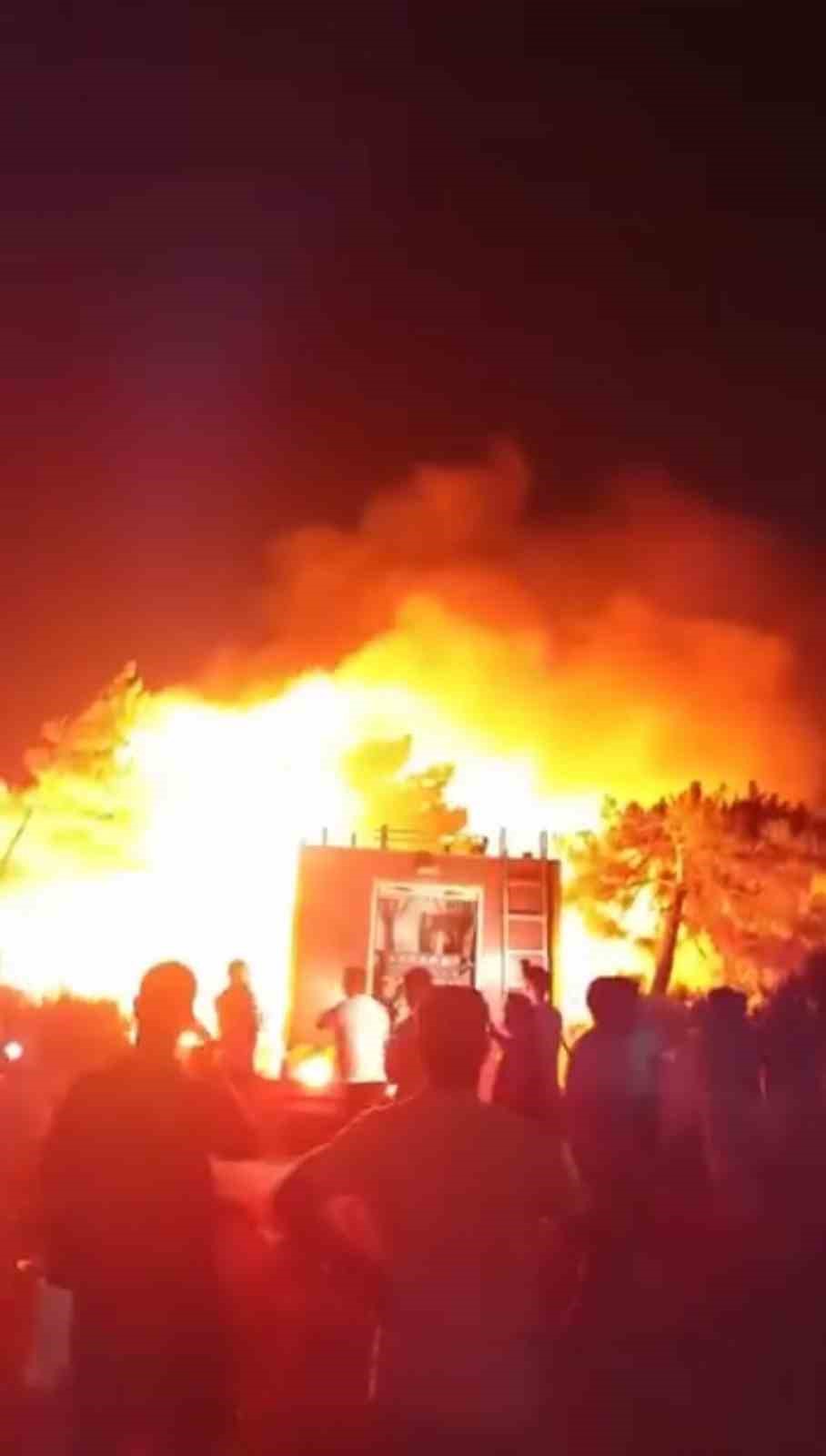 Hatay’da orman yangını