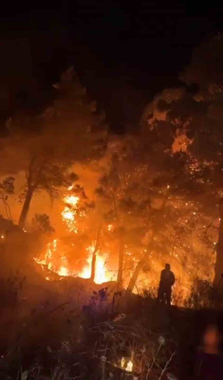 Hatay’da orman yangını