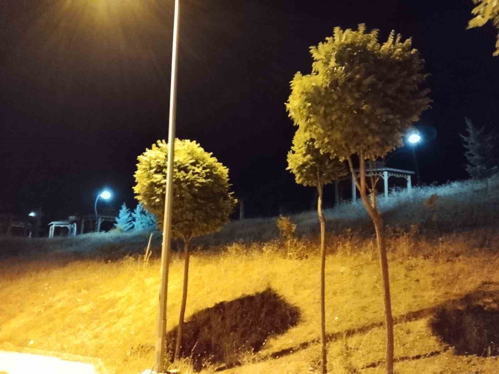 Elazığ’da kuvvetli rüzgar etkili oldu