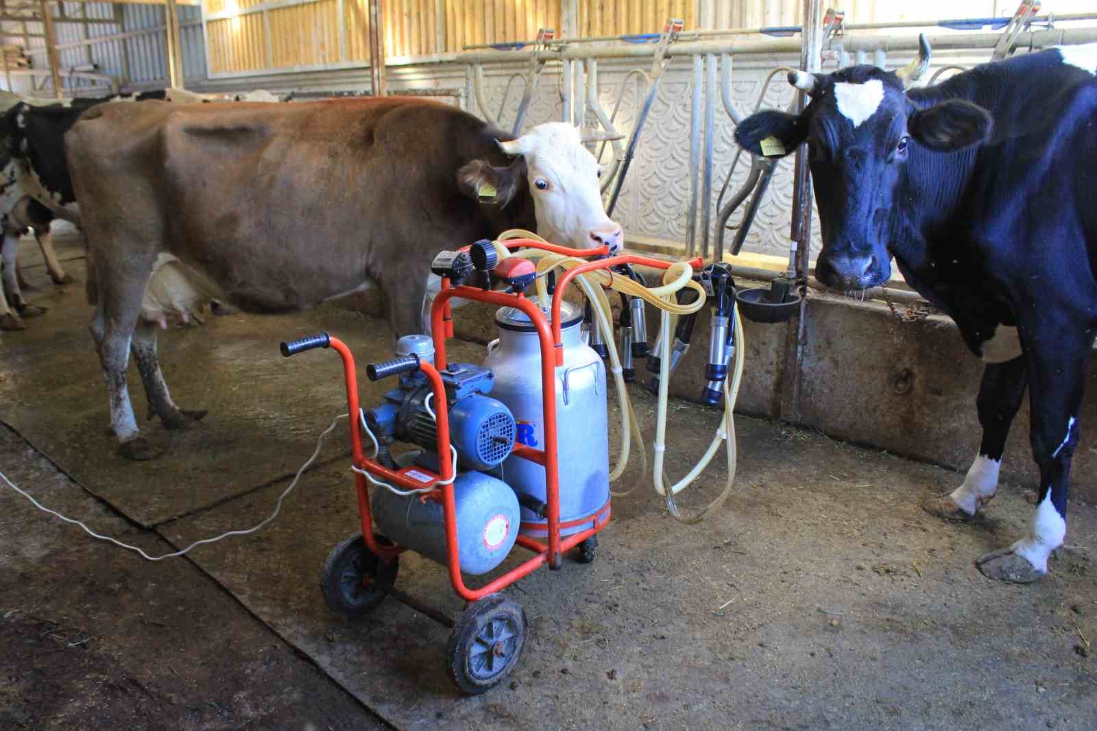 TÜSEDAD, sıcak süt tavsiye fiyatının 21 lira olmasını istedi