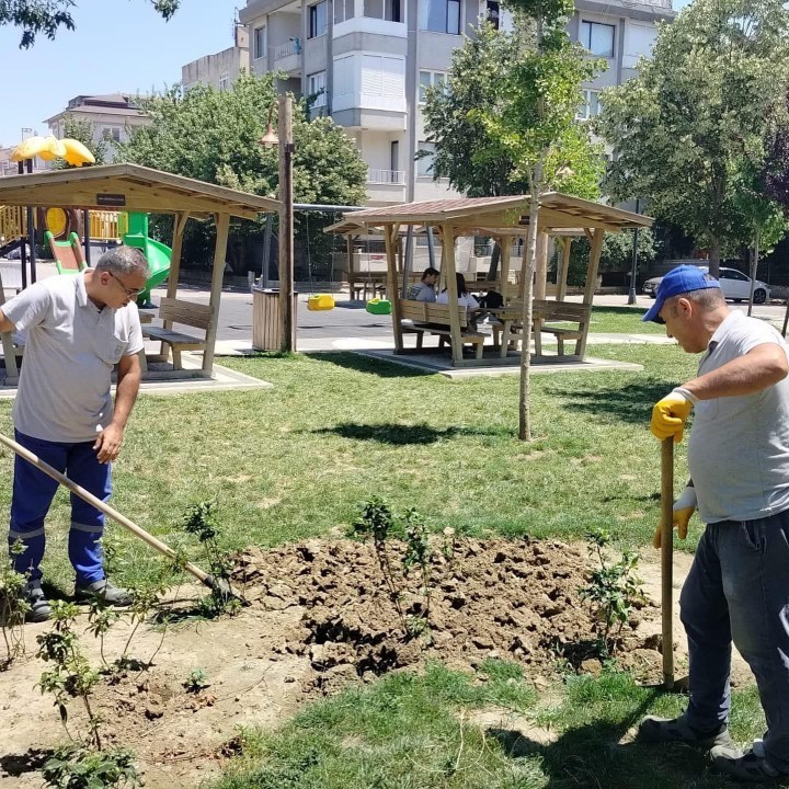Silivri’de park, bahçe ve yeşil alanlarda bakım çalışmaları sürüyor