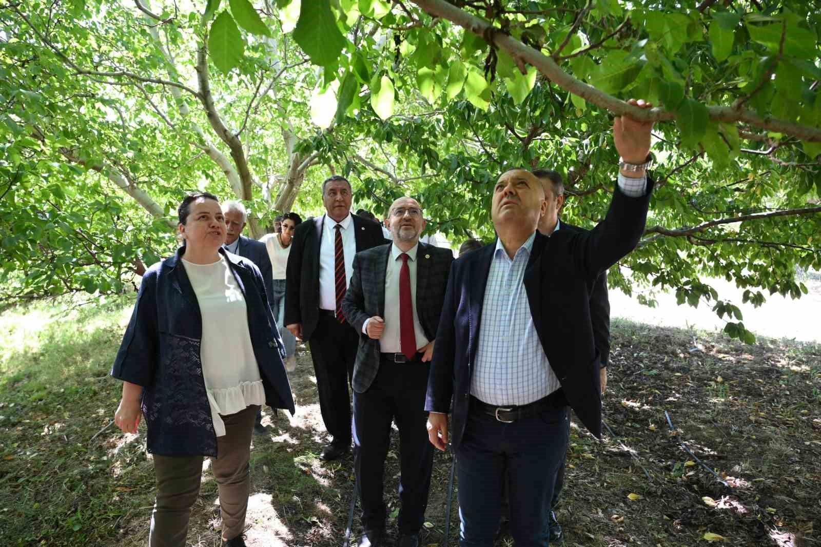 TBMM Zirai Don Araştırma Komisyonu Çivril’de meyve bahçelerini inceledi