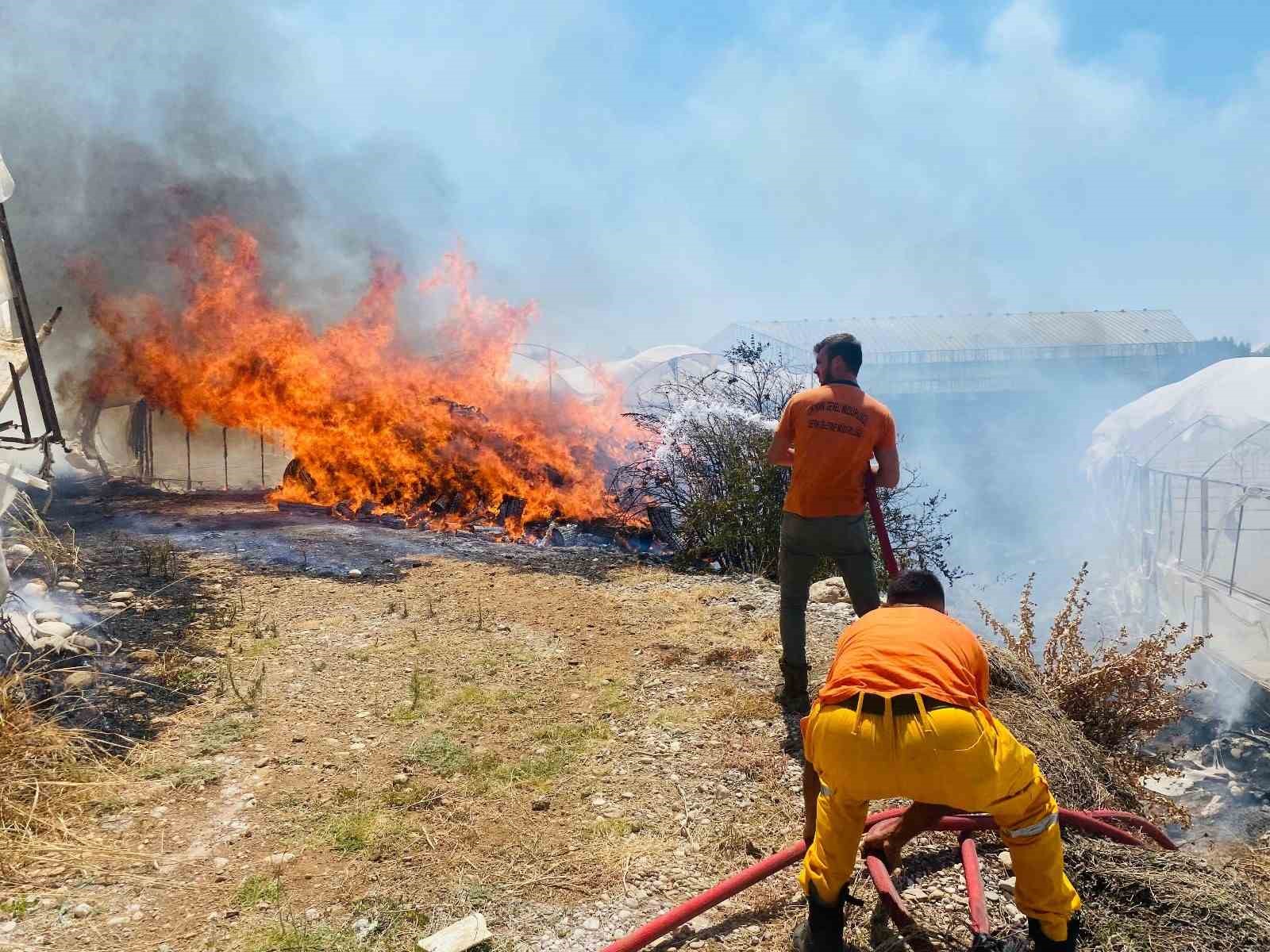 Serik’te çalılıklarda başlayan yangın 2 seraya zarar verdi