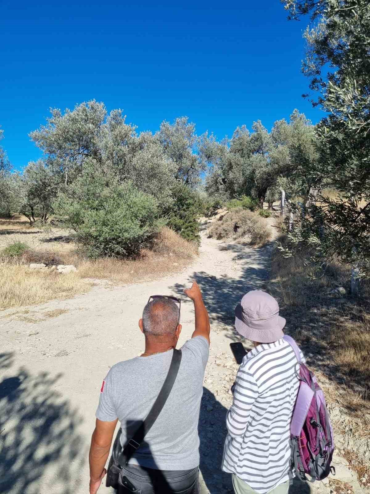Tarihi zeytin yolları g&uuml;n y&uuml;z&uuml;ne &ccedil;ıkarılıyor
