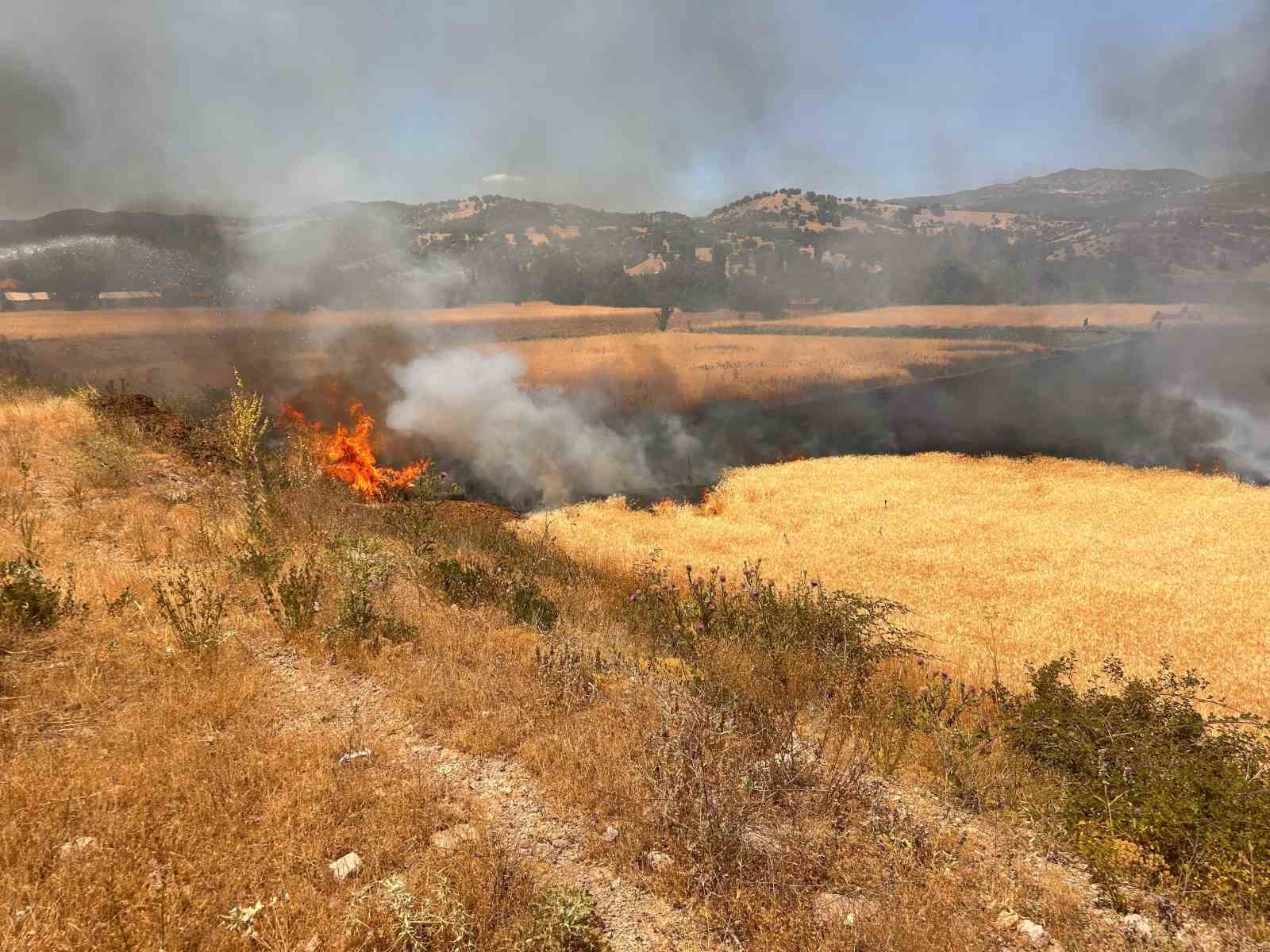 Hisarcık’ta biçerdöver kaynaklı yangında 2,5 dekar ekili alan zarar gördü