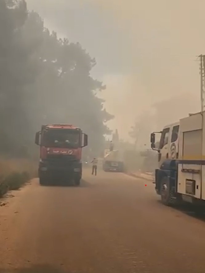 Suriye sınırında devam eden orman yangını i&ccedil;in Hatay B&uuml;y&uuml;kşehir Belediyesi ekipleri teyakkuza ge&ccedil;ti
