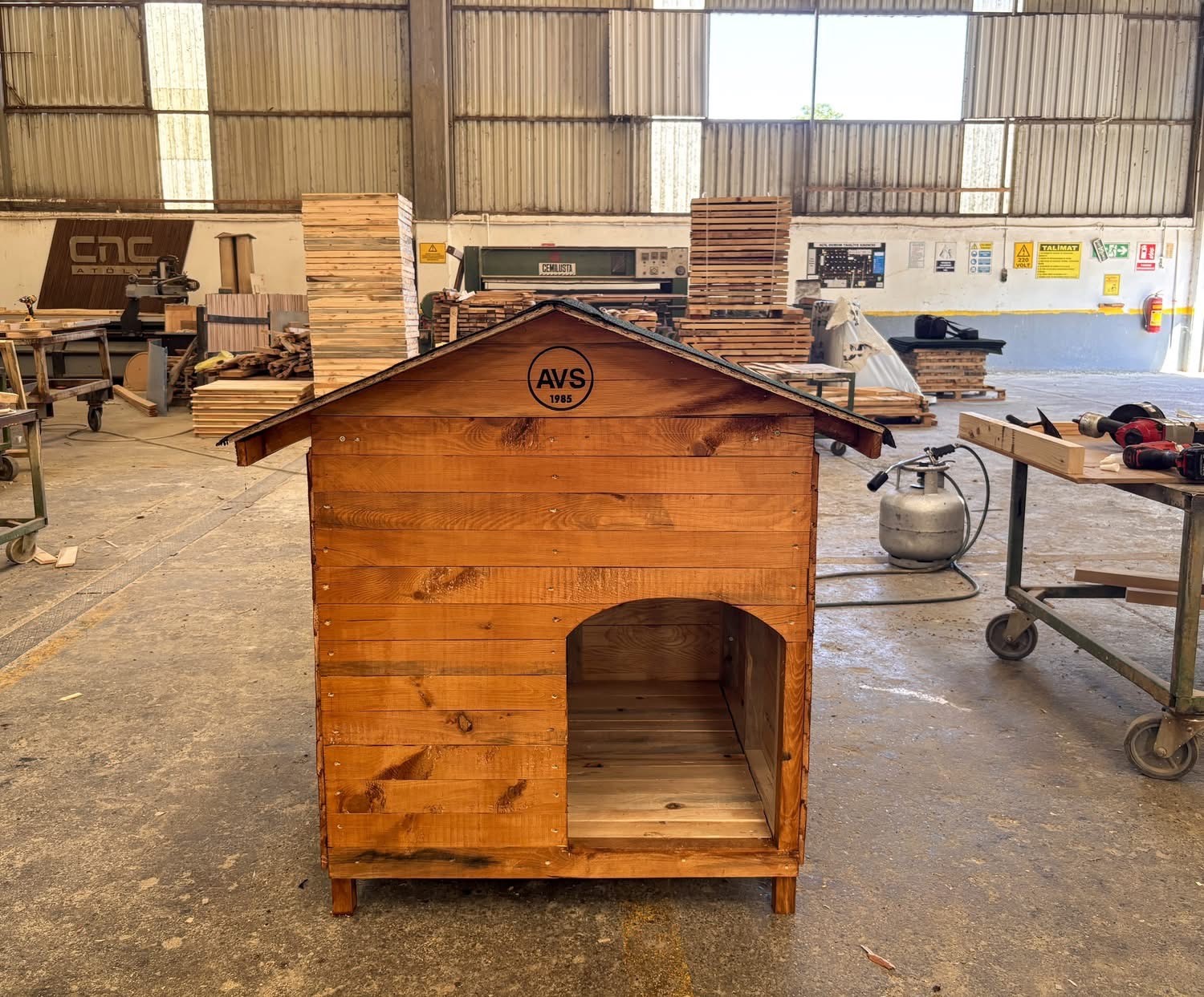 &Ccedil;AYBEL&rsquo;den sokak hayvanlarına bin kul&uuml;be
