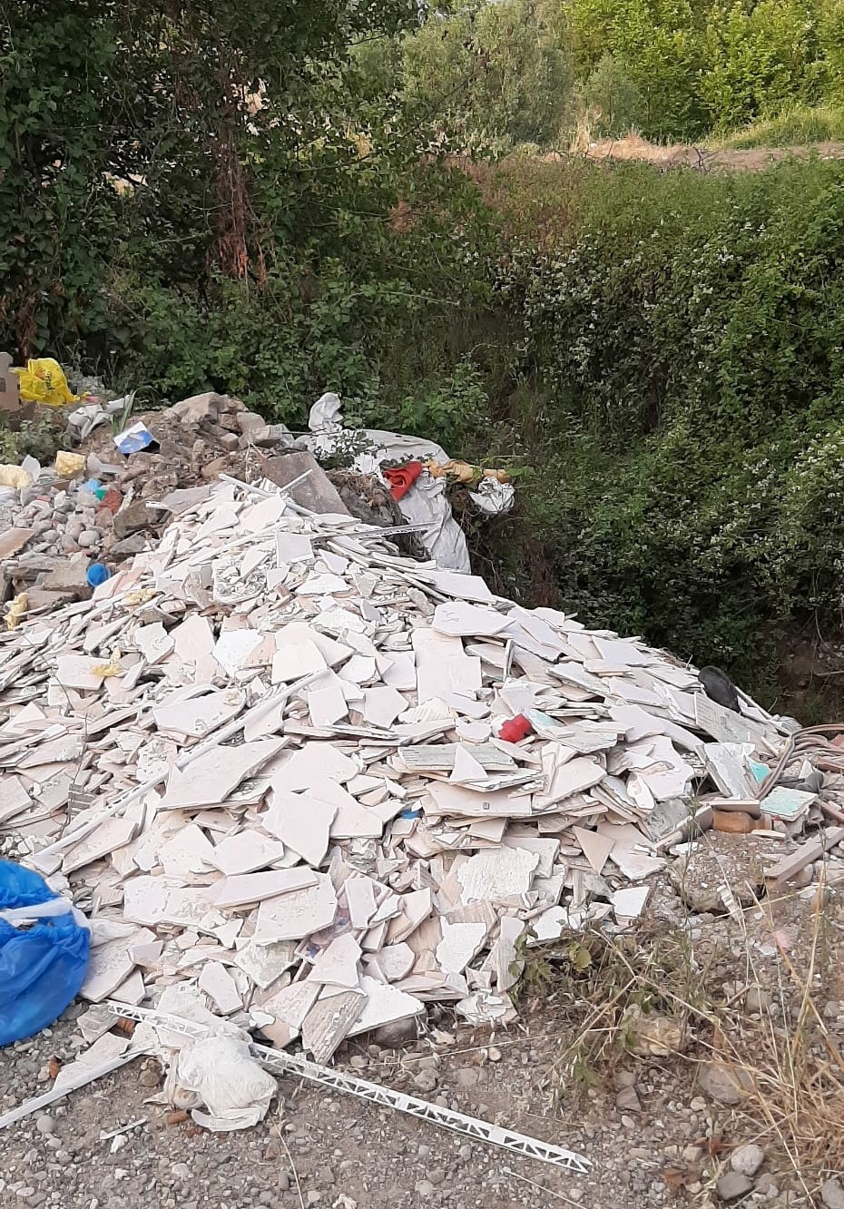 Dere yatağını &ccedil;&ouml;pl&uuml;ğe &ccedil;evirdiler
