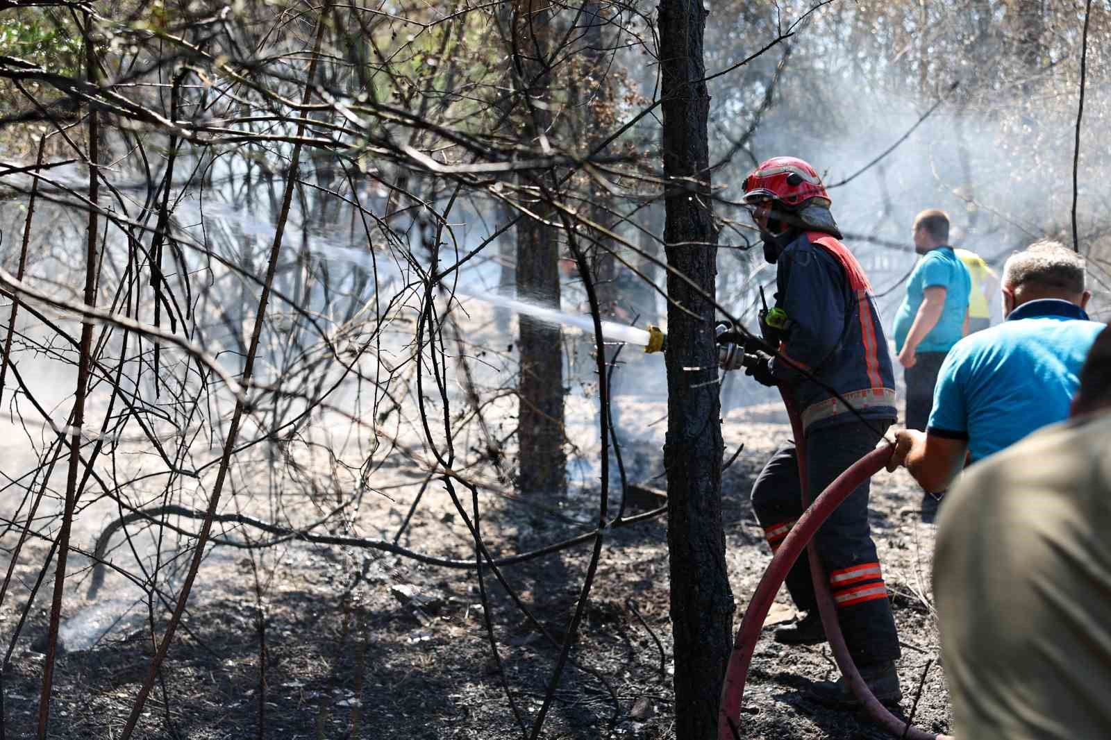 Orman yangınlarına karşı uyarı: Küçük bir ihmalle, büyük felaketler yaşatmamak için bunlara dikkat