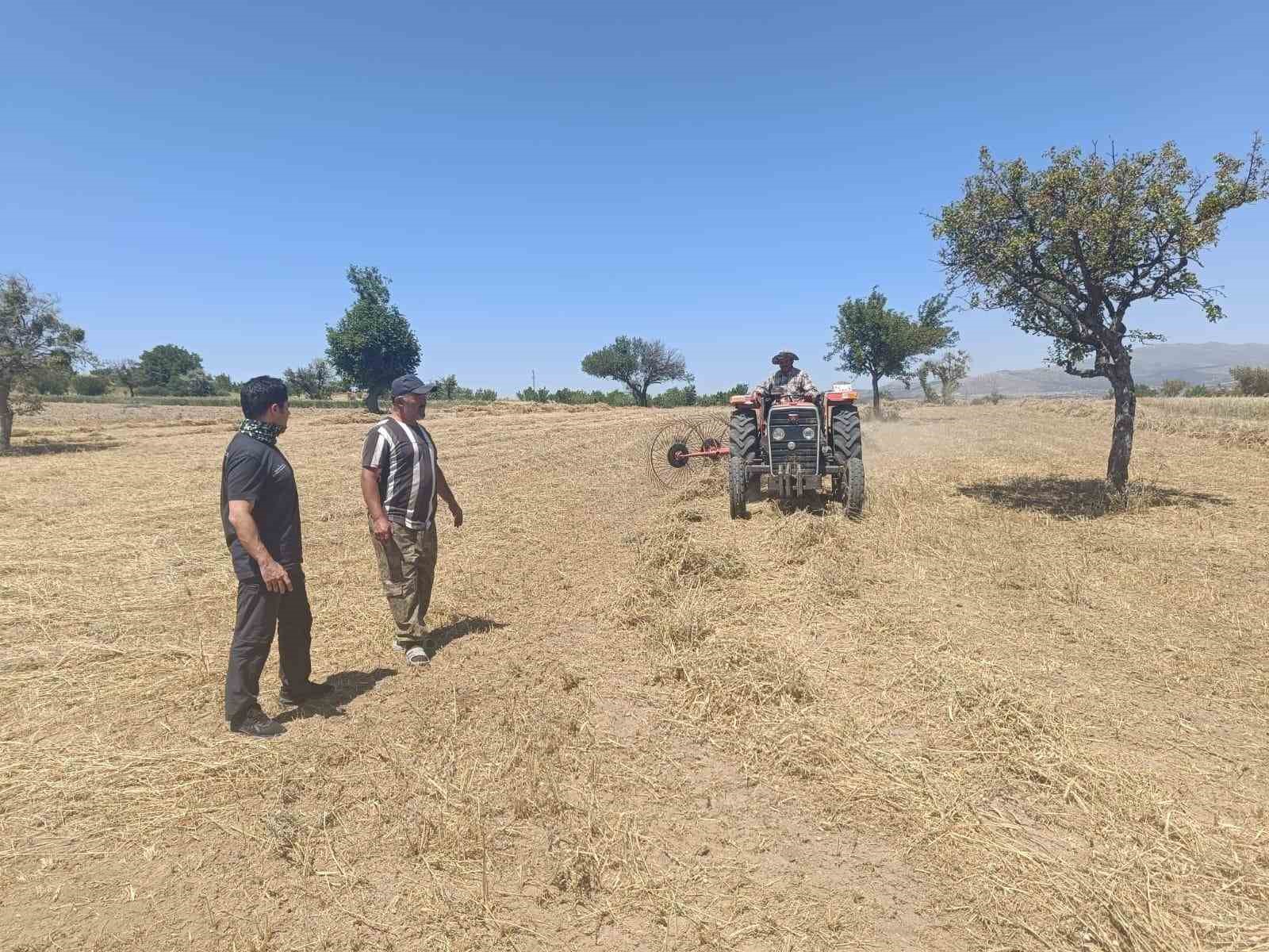 Beyşehir’de hibe destekli ekilen yem bitkilerinde hasat sürüyor