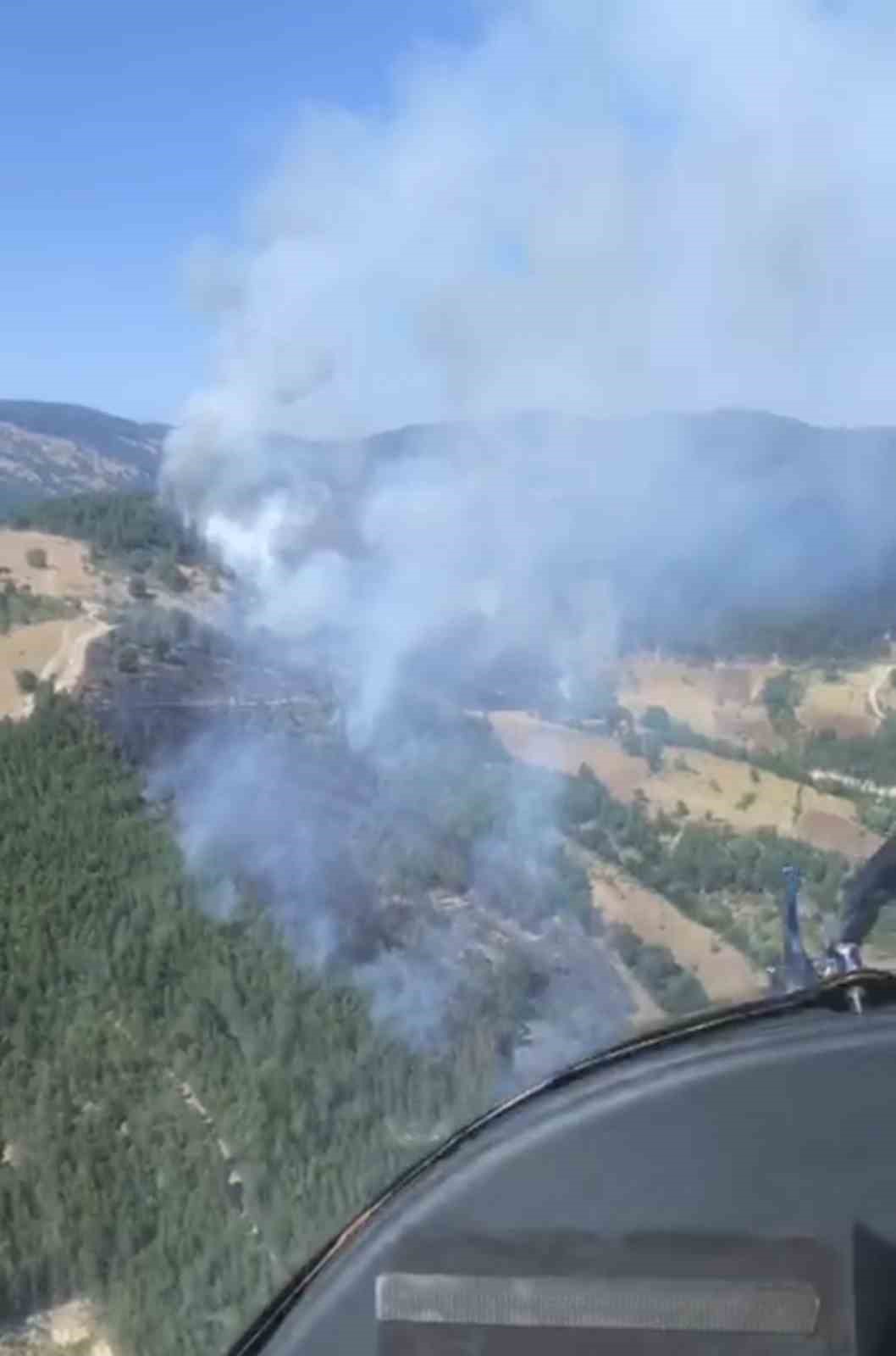 Sındırgı&rsquo;da orman yangını
