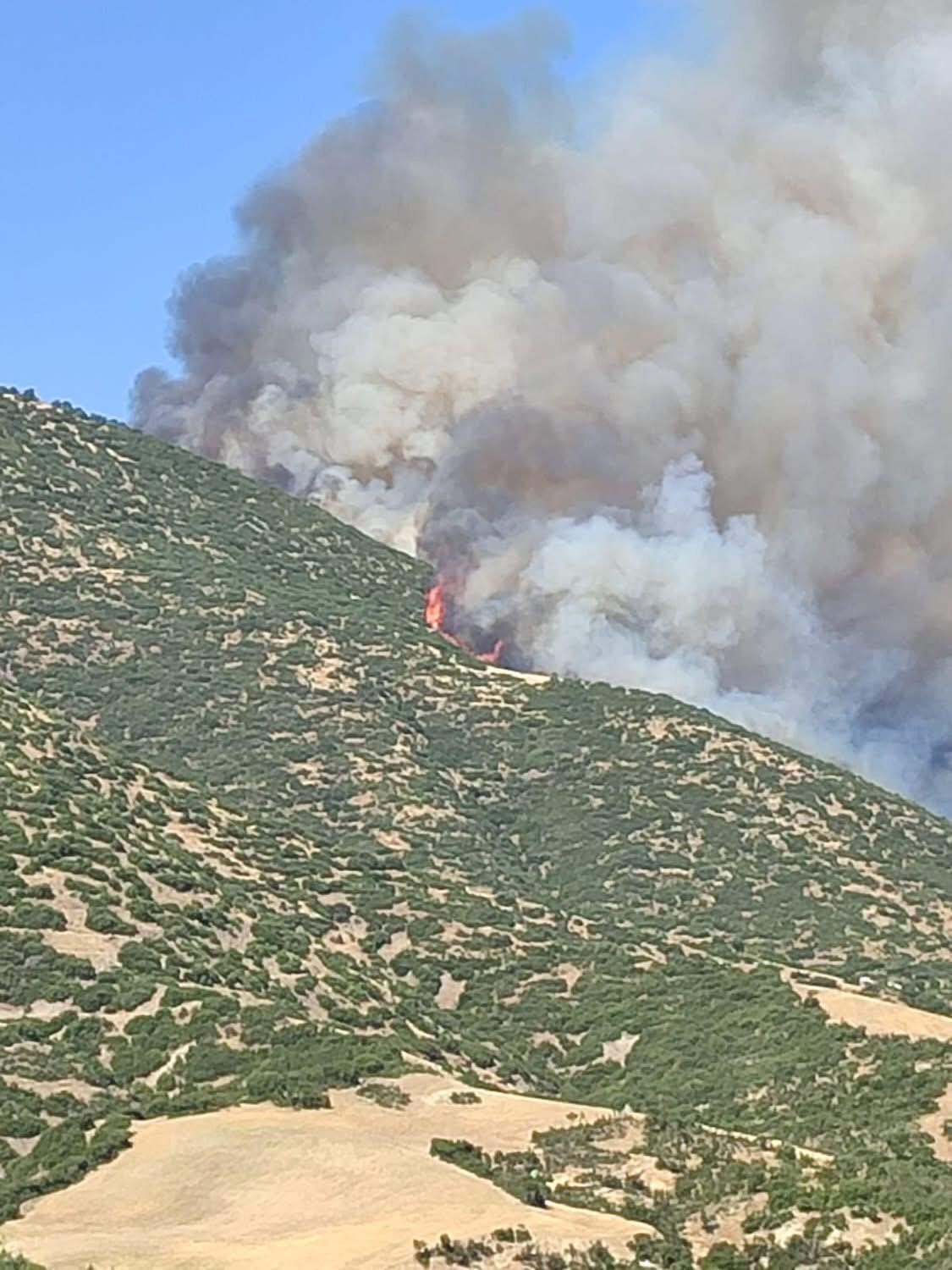 Sarıg&ouml;l&rsquo;de orman yangını başladı
